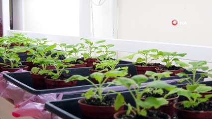 Akdeniz Üniversitesinden heyecanlandıran ilaç ve aşı adayı açıklaması