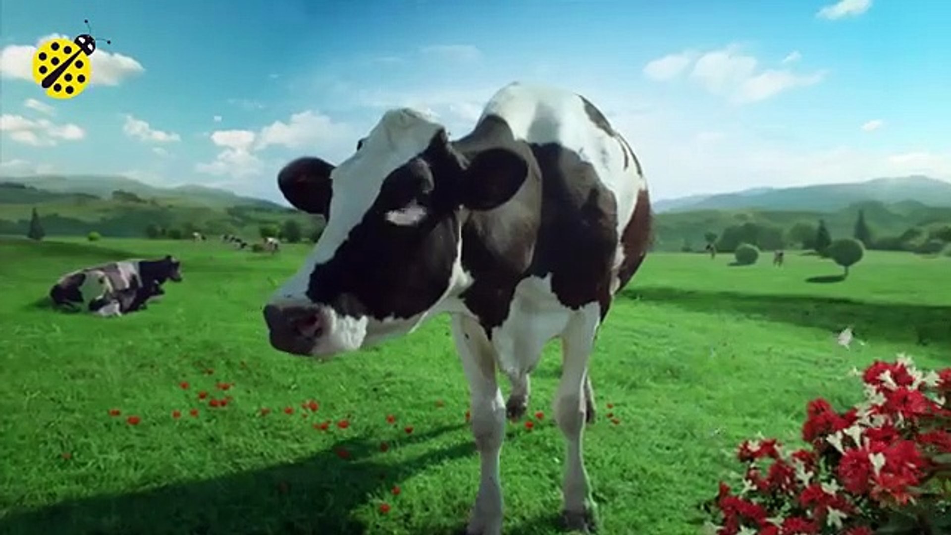 ⁣FUNNY COW DANCE 4 │ Cow Song _ Cow Videos 2021(360P)