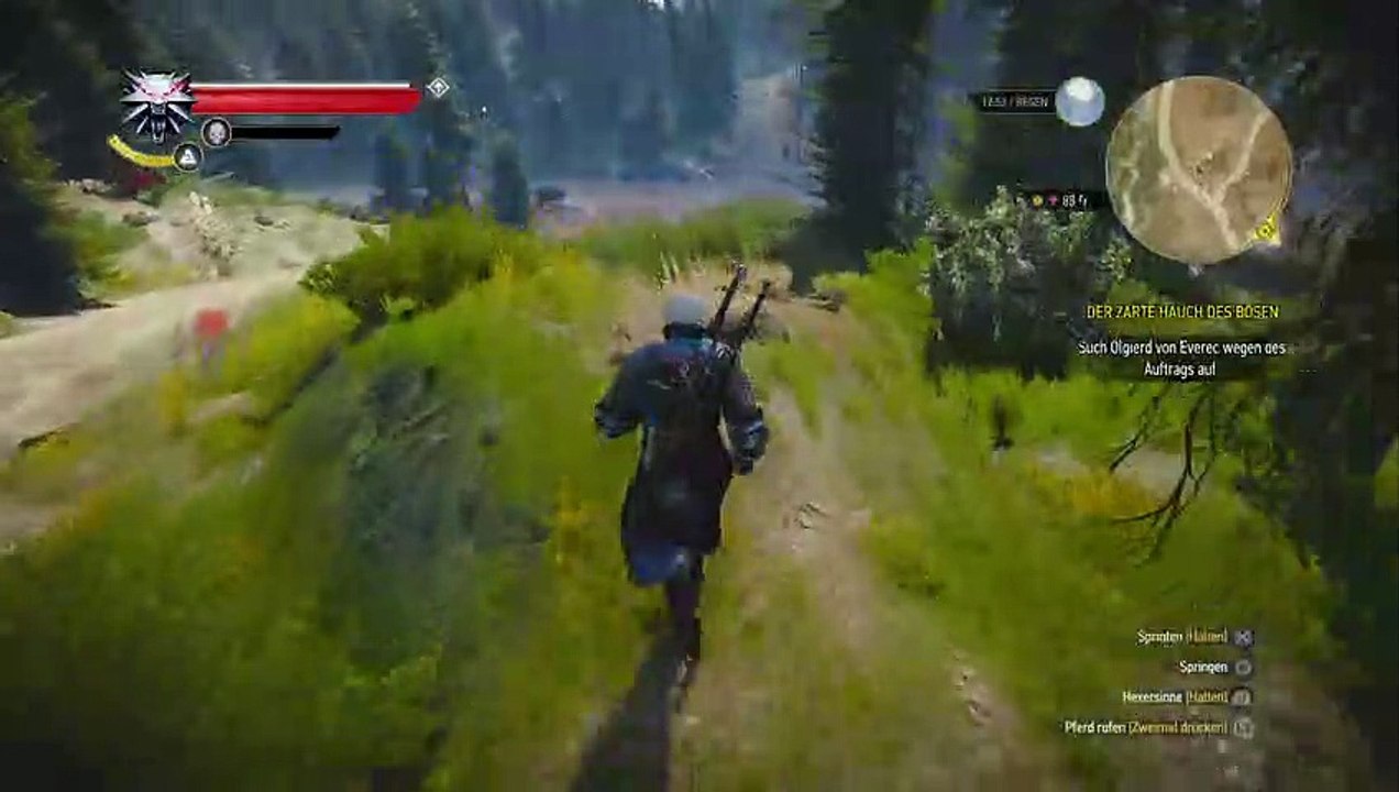 Lets play the witcher 3 nach der story