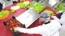 Aydın Büyükşehir Belediyesi her gün 25 bin vatandaşa sıcak yemek ulaştırıyor