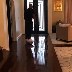 Quand un hoverboard met K.O. Mike Tyson