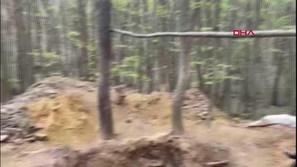 BELGRAD ORMANI'NDA DEFİNE AVI... DEVASA ÇUKUR ŞAŞKINA ÇEVİRDİ