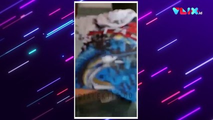 Detik-detik Nelayan Selamatkan 4 Pemancing di Tengah Laut