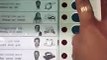 Belagavi bypoll: Video of person casting vote for Maharashtra Ekikaran Samiti-backed candidate goes viral