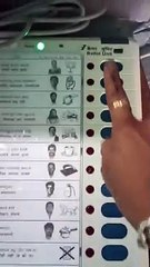 Belagavi bypoll: Video of person casting vote for Maharashtra Ekikaran Samiti-backed candidate goes viral