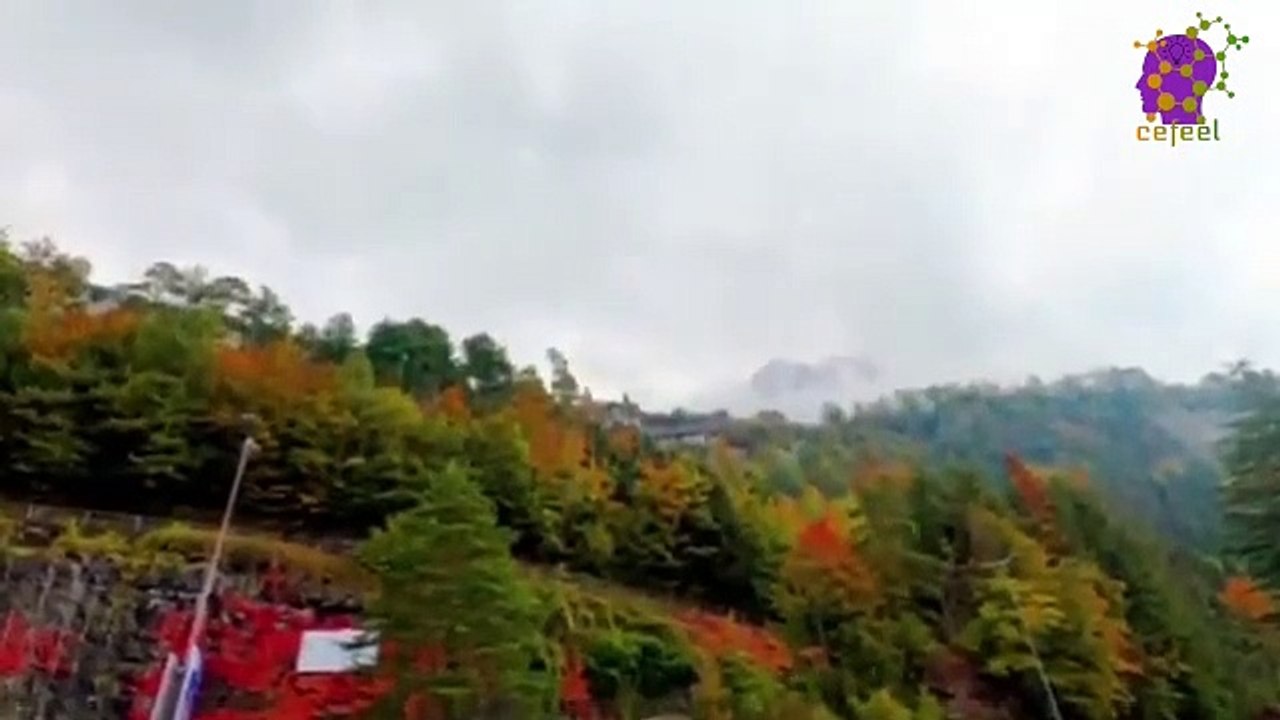 15 Minute Relaxing Healing Music | Self-love | Self-Esteem | Instumental | Meditation | Mindfulness | Peaceful | Nice | Nature | Beautiful |  Soothing