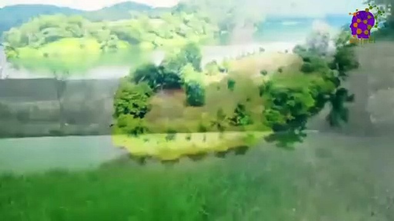 15 Minute Deep Soothing Music | Nature | Greenery | Study | Sleep | Relaxing | Calming | Healing | Positive Energy