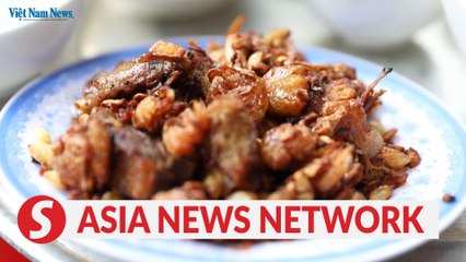 Vietnam News | Nom, nom, Vietnam: Duck fried with garlic