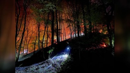 대전 유성구 상대동 야산 불...인명피해 없어 / YTN