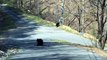 Black Bear Cubs Play in Road While Mom Watches