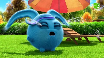 بكاء شيني لا يتوقف 