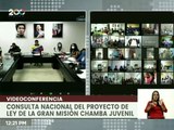 Dip. Pedro Infante: Más de 4 mil personas reciben vía online el Proyecto de Ley de la Gran Misión Chamba Juvenil para el debate y estudio