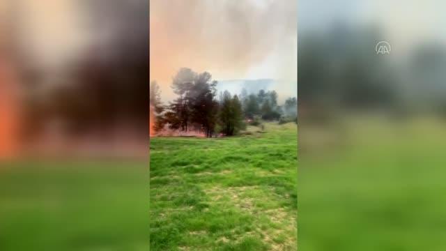 Son dakika haberleri... Menteşe ilçesinde orman yangını çıktı