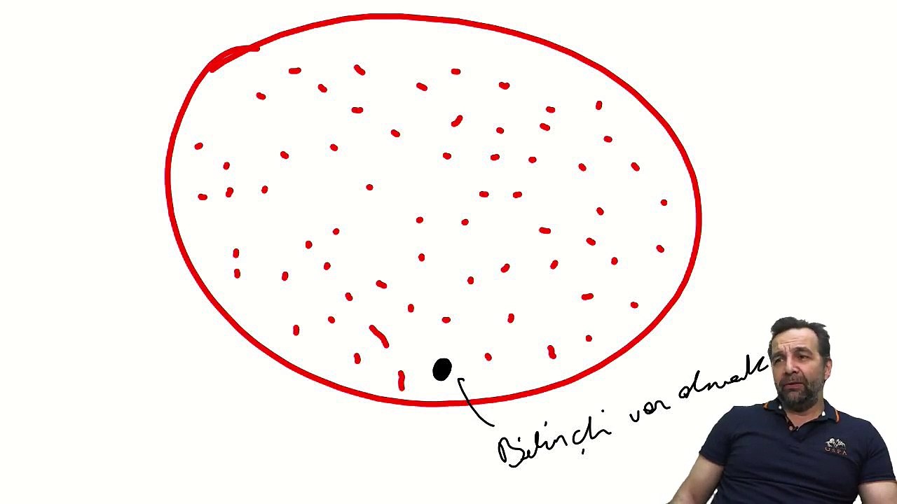 Bizim dünyamızda kutsal gün ve kutsal mekan var mıdır?