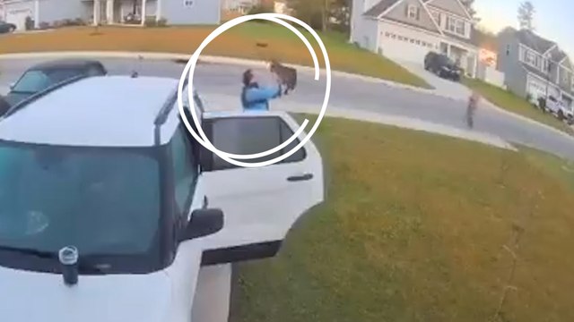 Etats-Unis : il sauve sa femme des griffes d'un lynx enragé, puis abat l'animal