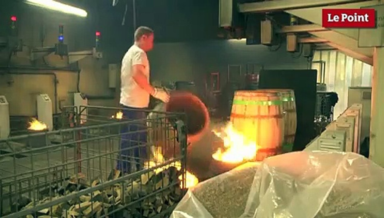 Vin : les secrets de fabrication des barriques