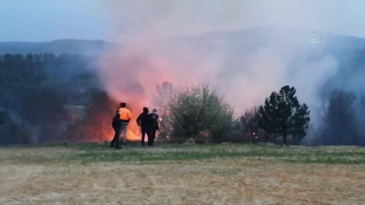 Kavaklıdere ilçesinde orman yangını başladı