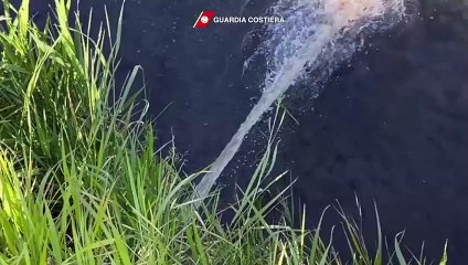 Viareggio - Scarico illecito di rifiuti, sequestrato autolavaggio (17.04.21)