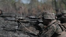 US Military News • U.S. Marines Squad Fire & Maneuver Training • Camp Lejeune, N.C., April 7 2021