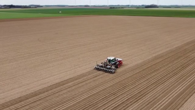 Gel des récoltes : seconde chance pour la betterave