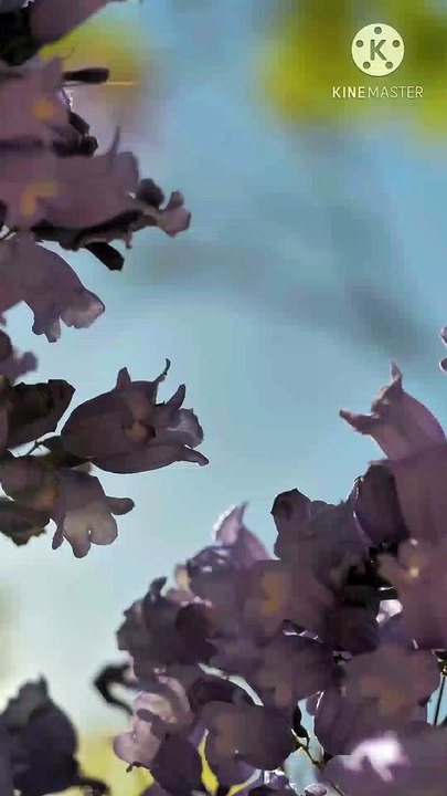 nemato pe gaur karo duniya se nafrat hogi