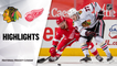 Blackhawks @ Red Wings 4/17/21 | NHL Highlights