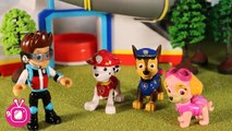 Paw Patrol Toys | Skye’S Training Day | Skye Saves The Day