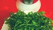 कुछ नया ट्राई करें चटनी में #Shorts #हरी धनिया की तीखी पकोड़े वाली चटनी #Green Chutney Recipe by Safina kitchen