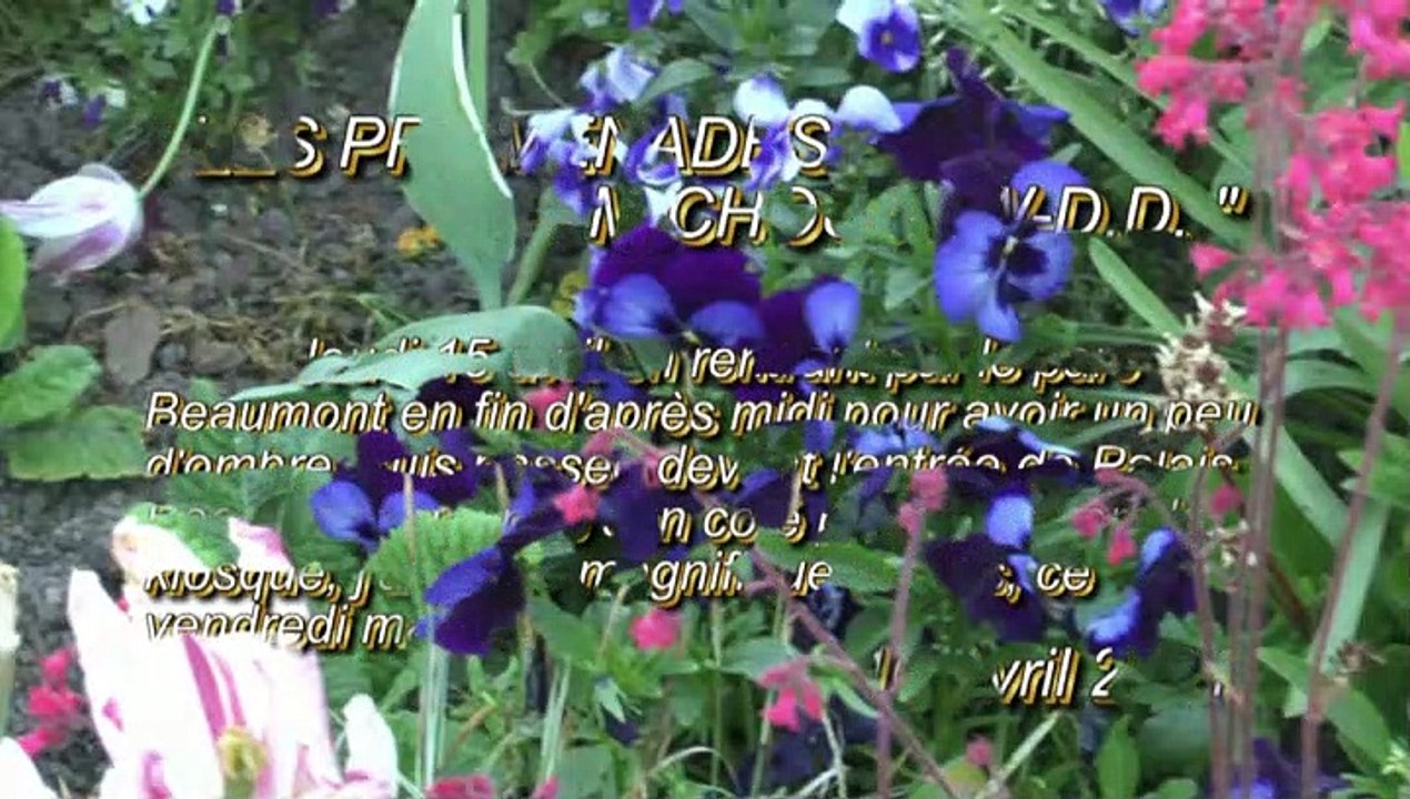 LES PROMENADES DE MICHOU64 W-D.D. - 16 AVRIL 2021 - PAU - LES MAGNIFIQUES MASSIFS ENTOURANT L'ENTRÉE DU PALAIS BEAUMONT