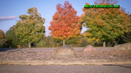 Haddaway - What Is Love (Remix) Shuffle Dance