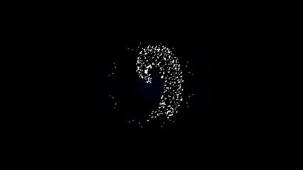 Edm melody loops