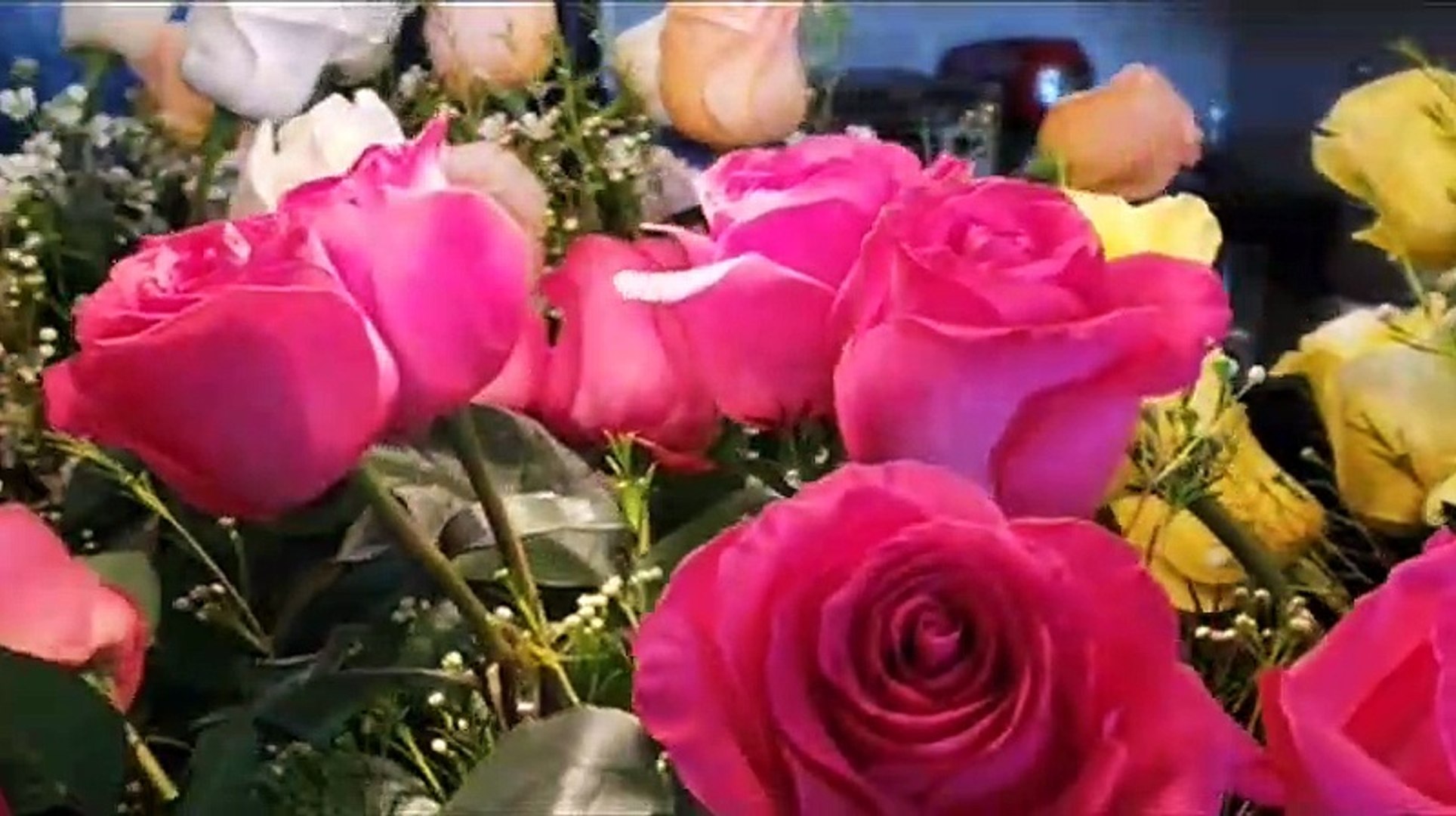 Morning Relaxing Music - Meditation Music, Relaxing  Music, Stress Relief Music