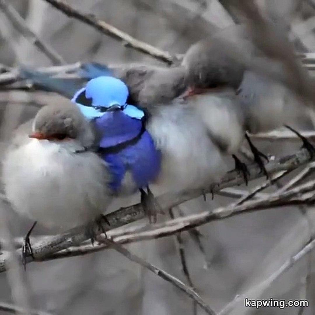 Best videos, Top videos, Viral videos Funny videos no. 128