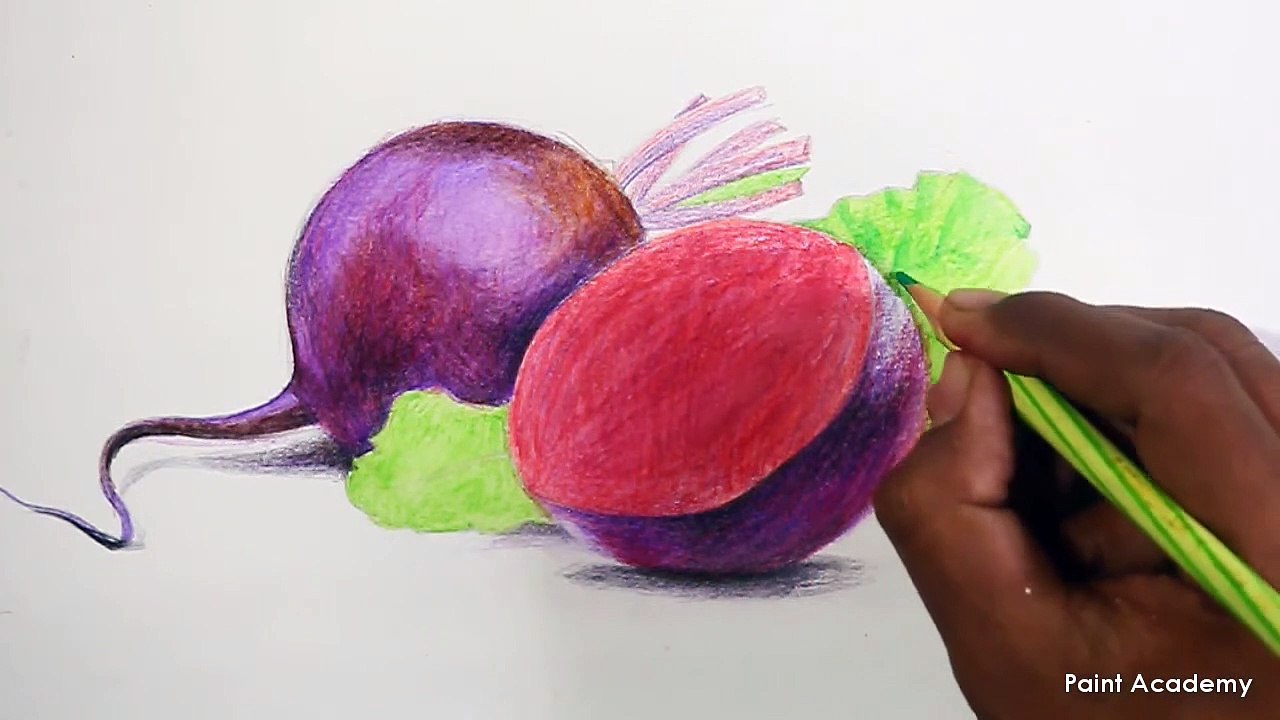 Watercolor Pencil Drawing : Still Life On Vegetables | Turnips