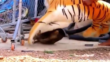 fake tiger prank dog funny _ prank dog sound _ prank dog video _ prank dog _ P68