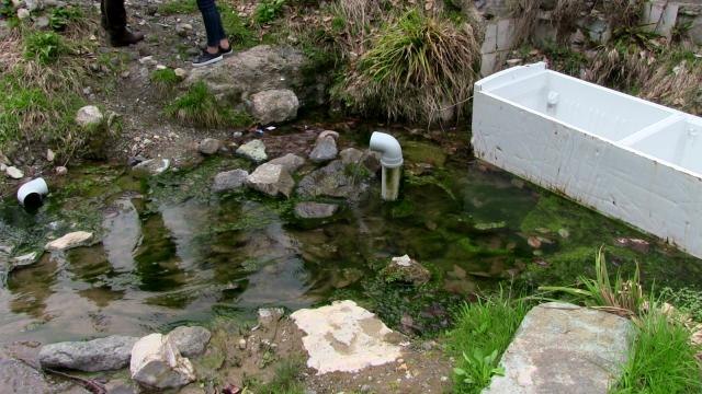 Artvin'de kaderine terk edilmiş tarihi kaplıca ilgi bekliyor