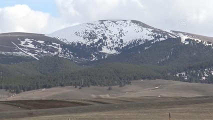 Havalar ısınınca meralar şenlendi