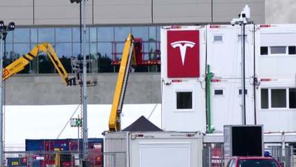 Tesla, il caso Germania: l'elettrico fa male all'ambiente?