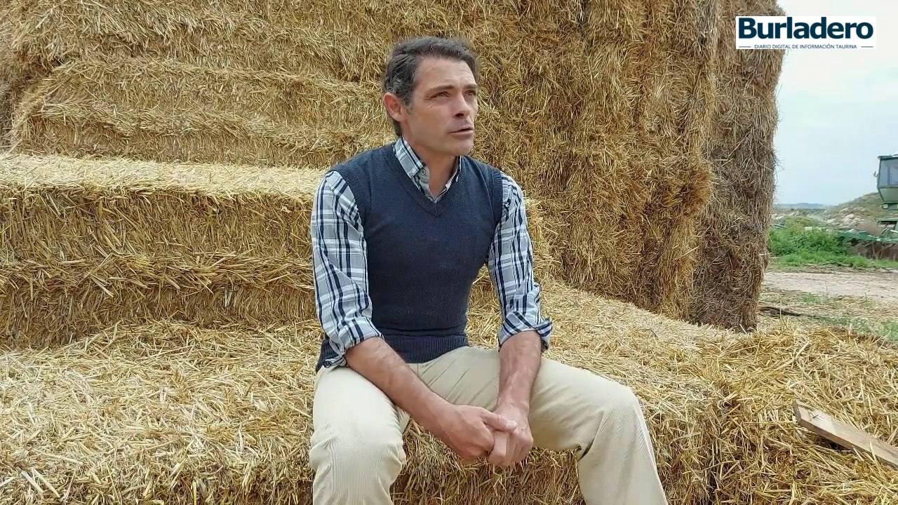 Sánchez Vara 2021