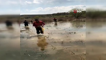 Terkos Gölü’nde yasa dışı balık avına 14 bin lira ceza