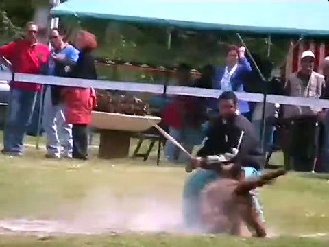 Ring : 2009 Vanghogh des Démons du Quercy sélectif Ring