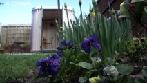 Garden pod provides answer to home working needs