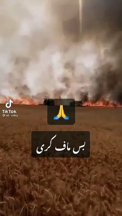 tu maula maaf kreen tumaula maaf kreen/tik tok