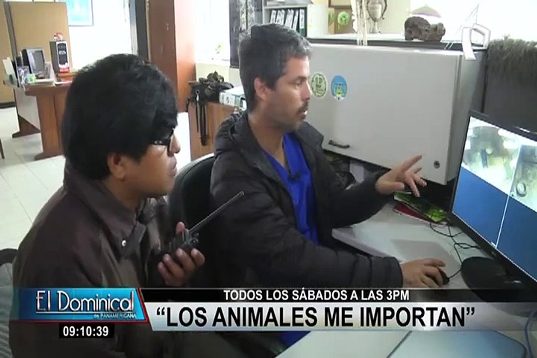 “Los animales me importan”: Pancho Cavero presentó el nacimiento de tres tigres de bengala