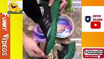 funny dog videos try not to laugh  challenge impossibleBest Of compilationThe Boss LevelVETOVLOGS