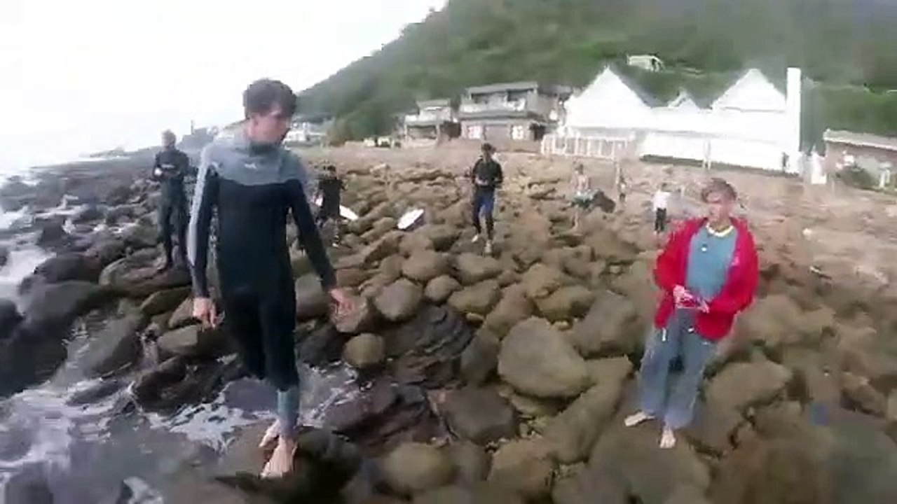 Des surfeurs sauvent un jeune requin blanc en Afrique du Sud
