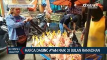 Harga Daging Ayam Naik Di Bulan Ramadhan