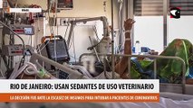 Río de Janeiro por falta de insumos para intubar a pacientes con coronavirus usan sedantes veterinarios