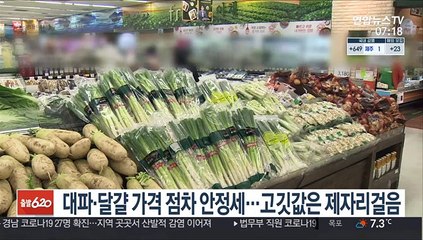 대파·달걀 가격 점차 안정세…고깃값은 제자리걸음
