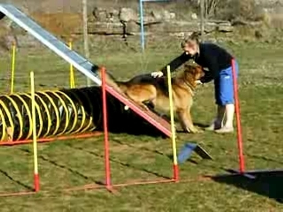 2007_0223Agility-23-02-080028